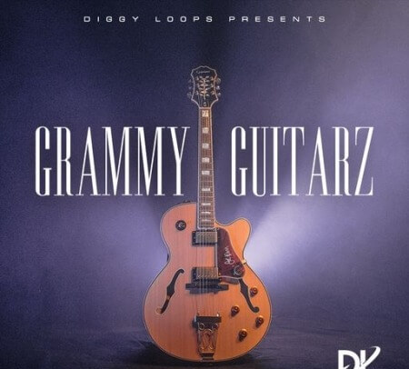 HOOKSHOW GRAMMY GUITARZ WAV